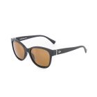 Darcs Stella Lifestyle Sunglasses